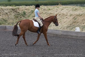 ISIS Dressage Challenge 2008